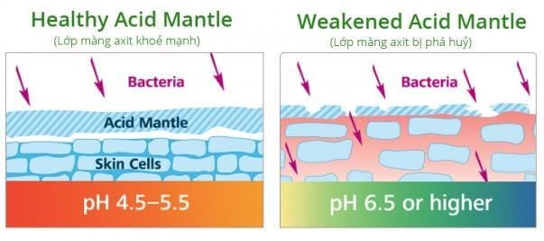 mang-acid-mantle