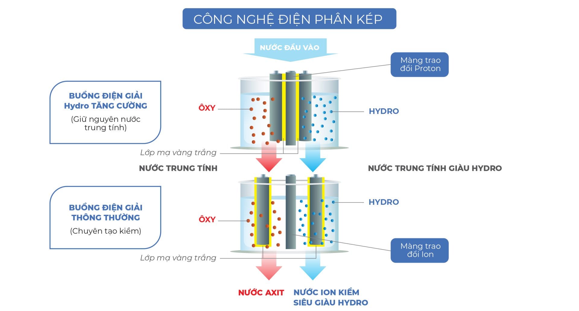 Cong-nghe-dien-phan-tren-may-dien-giai-Trim-ion