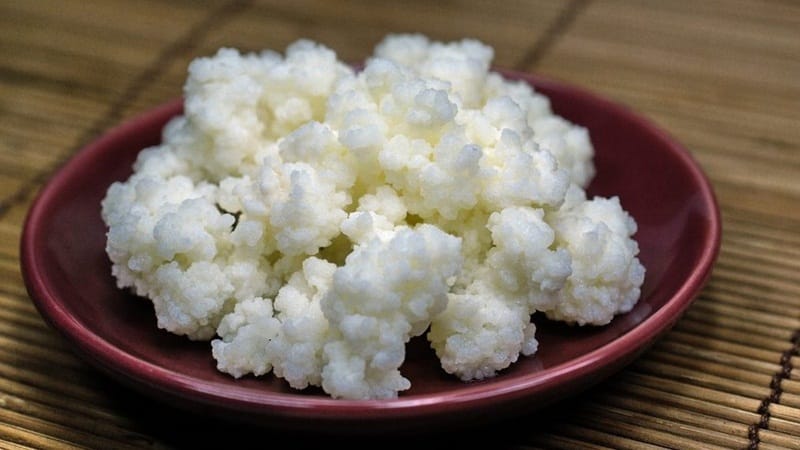Sua-chua-Kefir