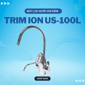 US100L