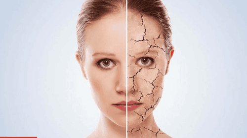 Vay-khi-co-the-thieu-nuoc-se-nhu-the-nao