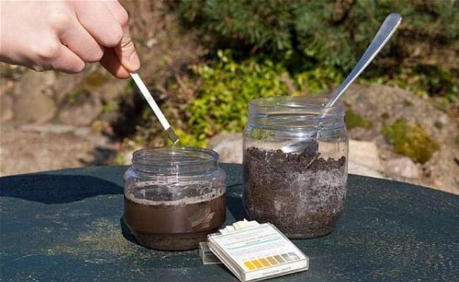 Cach-cai-tao-dat-kiem