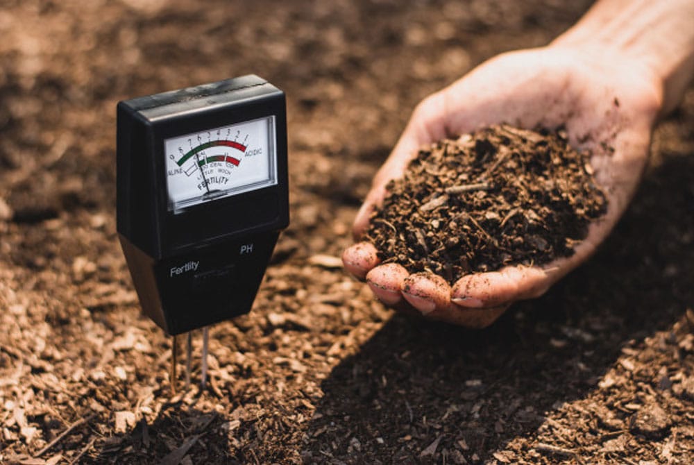 Cach-do-do-pH-cua-dat-kiem