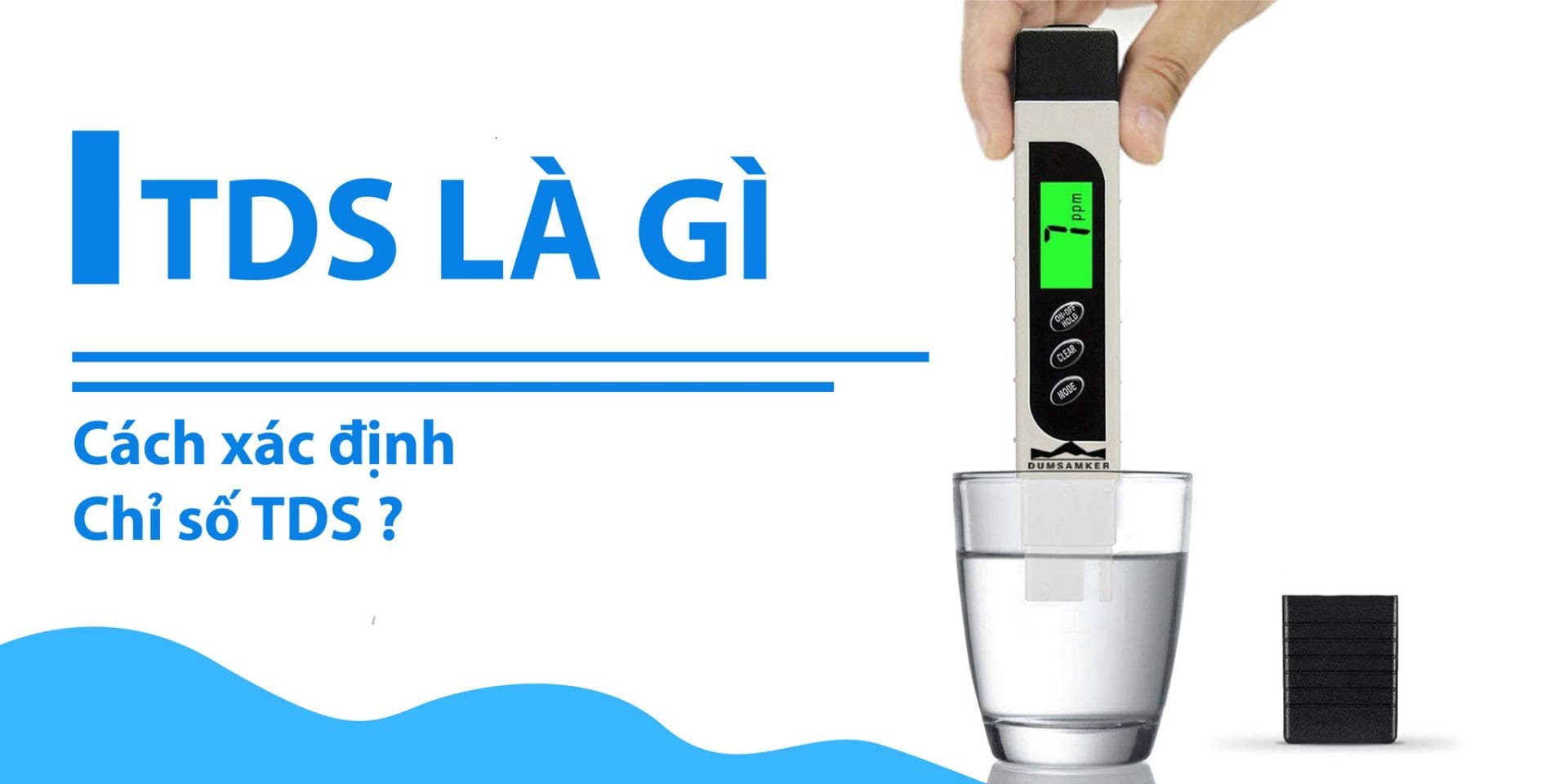 tds-la-gi