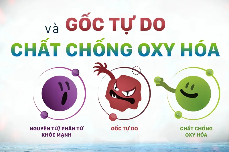 Chống Oxy hóa là gì? Nước ion kiềm giúp gì cho quá trình này? chat-chong-oxy-hoa
