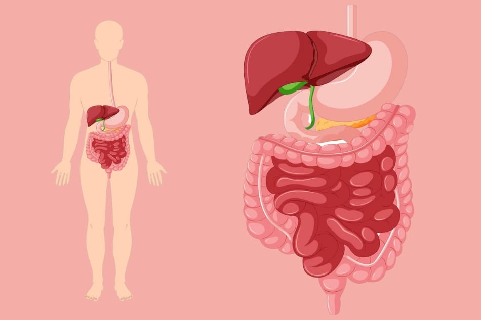 Nước Kangen và sức khỏe người cao tuổi: Lợi ích và cách sử dụng Nước Kangen và sức khỏe người cao tuổi
