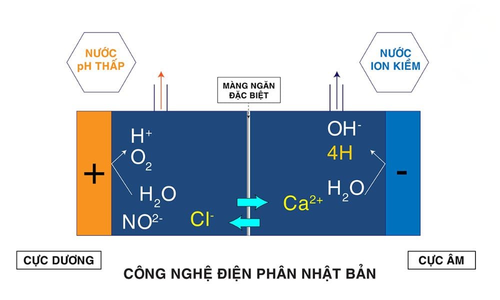 So sánh máy Kangen nội địa Nhật và máy Kangen quốc tế, máy ion kiềm thông thường So sánh máy Kangen nội địa Nhật và máy Kangen quốc tế