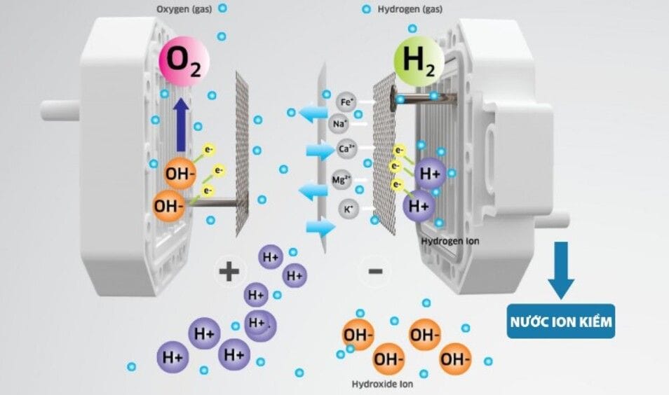 Vì sao nước Kangen chứa hydro hoạt tính cao và tốt cho sức khỏe Vì sao nước Kangen chứa hydro hoạt tính cao